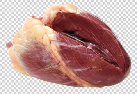 Beef heart Foto stock