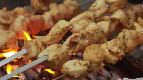 Beef kababs on the grill closeup Stock Footage 100535811