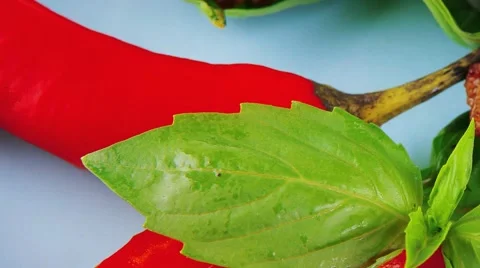 Beef meat cutlets Vídeos de archivo 58273121
