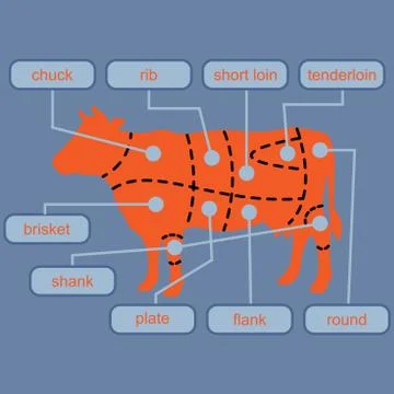 Beef meat diagram Stock Illustration
