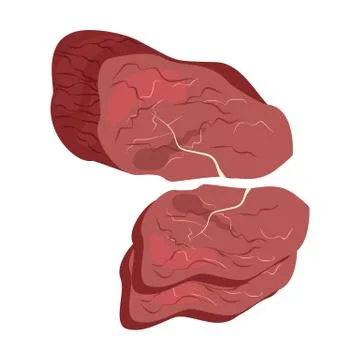 Beef meat, fresh slice of red meat vector illustration Illustrazione stock