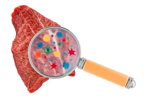 Beef meat with germs, microbes or viruses under magnifying glass, 3D renderin Stock Illustration