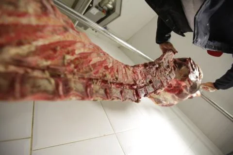 Beef meat Stock Photos