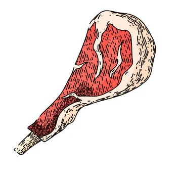 Beef meat sketch hand drawn vector Stock Illustration