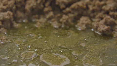 Beef Oil Stock Footage 91224481