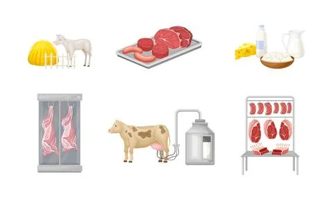 Beef Processing with Cow Grazing, Milking for Dairy Product and Meat Production Stock Illustration