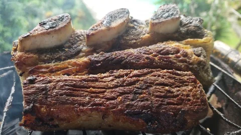 Beef rib barbecue with bare bones nature in the background 스톡 동영상 125921187