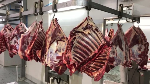 Beef ribs hanging in coldroom HD 4K Vidéo 172287747