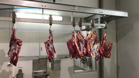 Beef ribs hanging from hooks in a coldroom HD 4K 库存影片 172287609