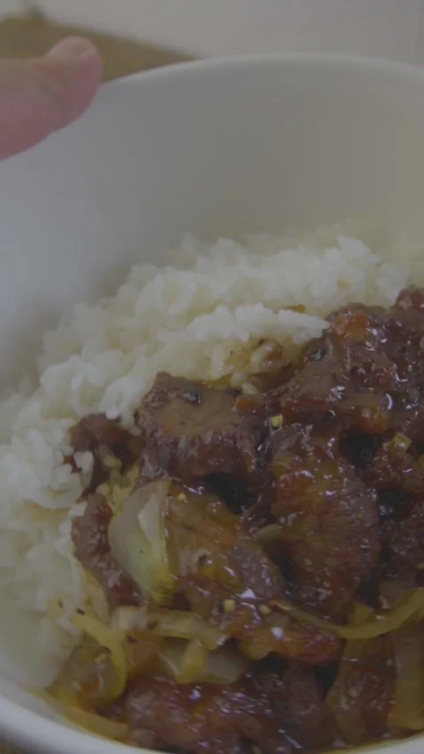 Beef rice bowl Stock Footage 319644297