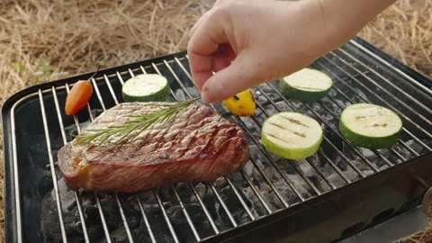 Beef steak grilled on grill with fresh vegetables in nature camping Stock Footage 263299022