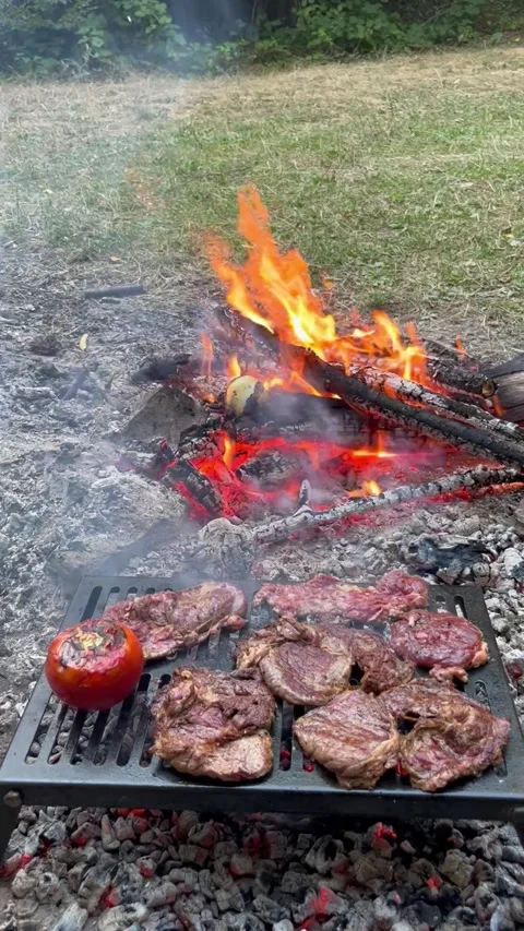 Beef Steaks and Tomato Grilling Over Hot Campfire Coals Stock Footage 345023166