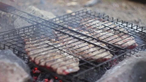 Beef Steaks Grilling over a Campfire Stock Footage 303519100