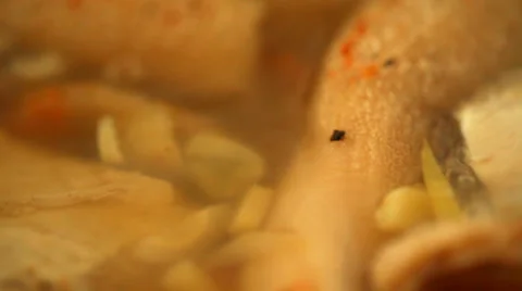 Beef tripes cooking - boiling - closeup Stock Footage 35991175