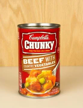 Beef with vegetable soup 库存照片