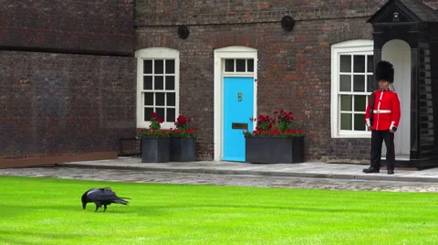 Beefeater guards with raven foreground at the Tower Of London in London, Vidéo 55779378