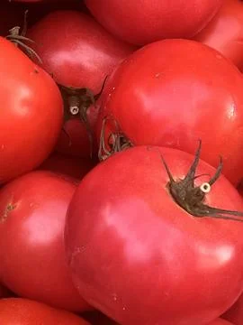 Beefsteak Tomatoes Stock Photos