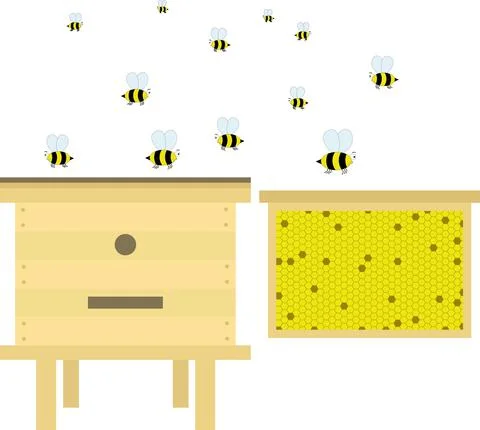 Beehive with apiary, frame with honeycombs and nectar. Vector elements Stock Illustration
