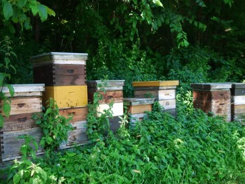 Beehive bee hives Stock Photos