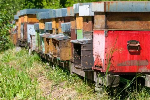Beehive boxes Stock Photos