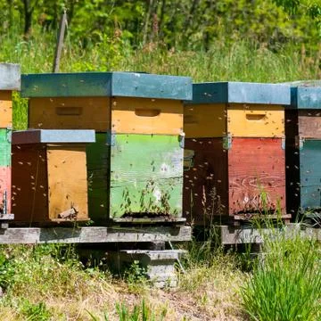 Beehive boxes Stock Photos