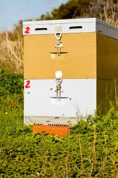 Beehive in the field Foto stock
