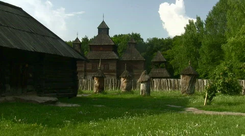 Beehive Video stock 783964