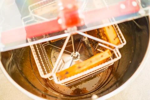 Beehive Frames Filled with Honey Ready to be Extracted within the Centrifug.. Stock Photos