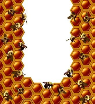 Beehive Honeycomb Frame 스톡 일러스트