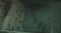 Beehive infestation - actual raw honey retrieved from hive - part 2-6 HD Footage