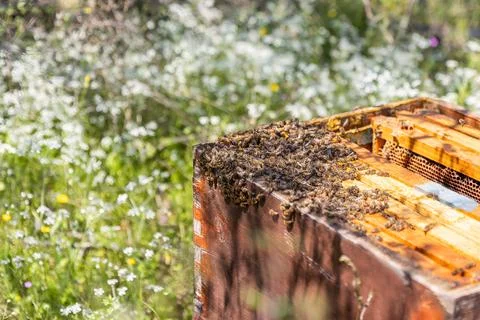 A beehive man-made structure to house a honey bee nest in Greek fields Stock Photos