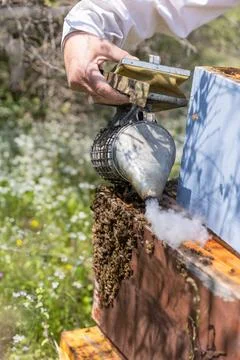 A beehive man-made structure to house a honey bee nest in Greek fields Stock Photos