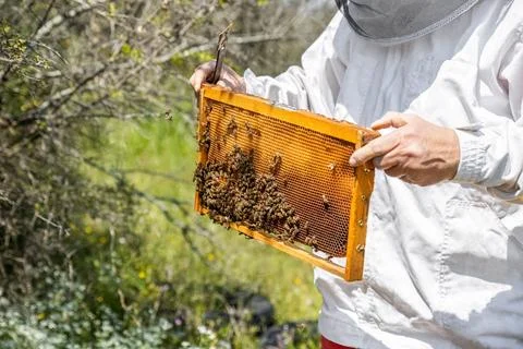 A beehive man-made structure to house a honey bee nest in Greek fields Stock Photos