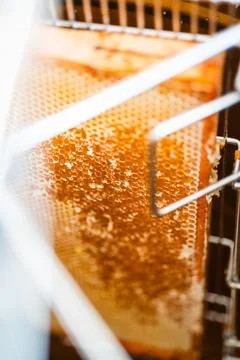 Beehive with Opened Honeycombs Filled with Bee Honey Placed in a Centrifuga.. Stock Photos