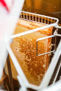 Beehive with Opened Honeycombs Filled with Bee Honey Placed in a Centrifuga.. Stock Photos