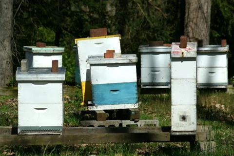 Beehive Stock Photos