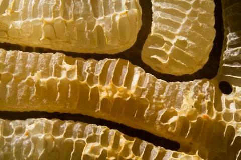 Beehive Stock Photos