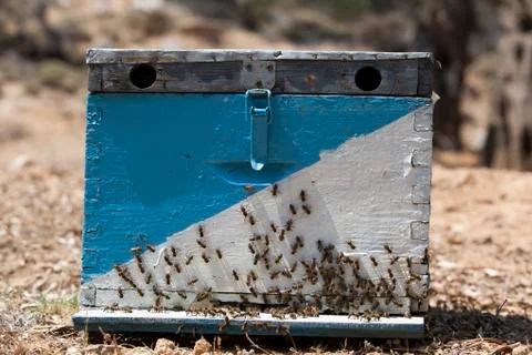 Beehive Stock Photos