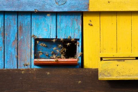 Beehive Stock Photos