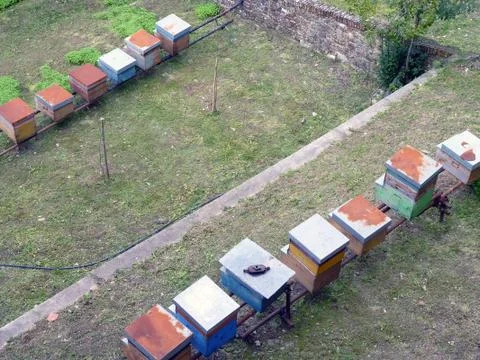 Beehive Stock Photos