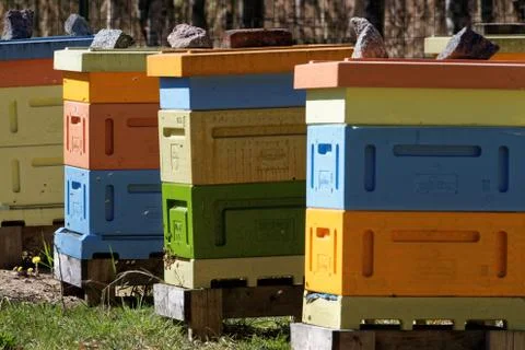 A beehive Stock Photos