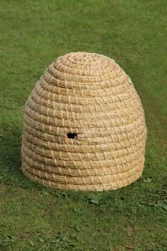 Beehive. Stock Photos