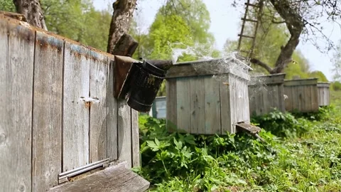 Beehive with smoker at apiary Stock Footage 130981937