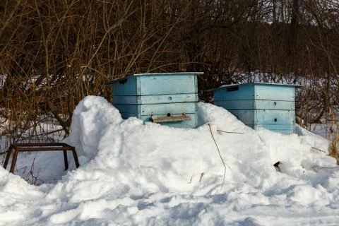 Beehive in the winter forest Stock Photos