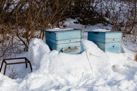 Beehive in the winter forest Stock Photos