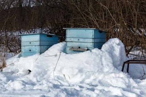 Beehive in the winter forest Stock Photos