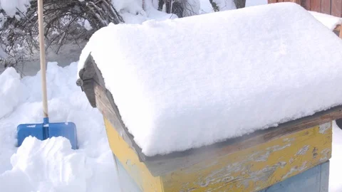 Beehive In Winter Time Video stock 89131974