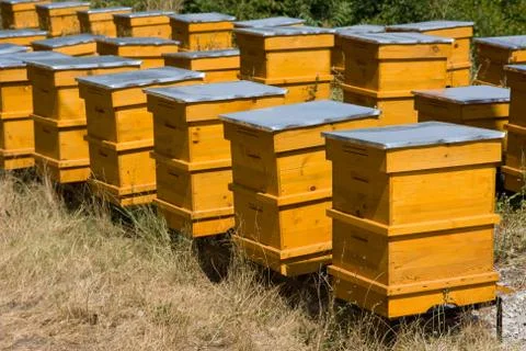 Beehives and beekeeping Stock-Fotos