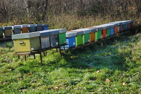 Beehives box in the meadows Stockfoto's
