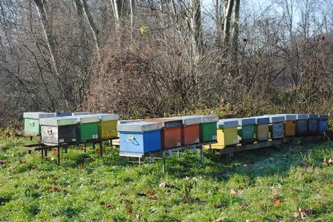 Beehives box in the meadows Stockfoto's